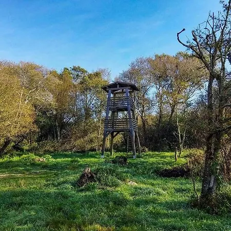 Appartement Al.fredos