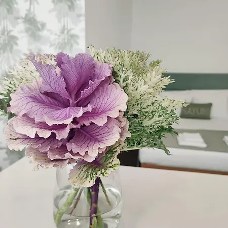 Al.fredos Минделу